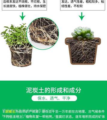 主營(yíng)產(chǎn)品:泥炭土、綠化種植土、花卉栽培基質(zhì)、育苗基質(zhì)