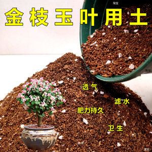 【土壤種植土家庭園藝價(jià)格】最新土壤種植土家庭園藝