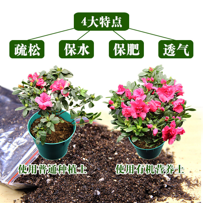 多肉植物營(yíng)養(yǎng)土綠植花卉蔬菜花泥水果果樹盆栽有機(jī)種植土含泥炭土 黑色 100克